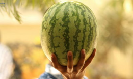 娱乐圈吃瓜2021,吃瓜群众的热议焦点回顾